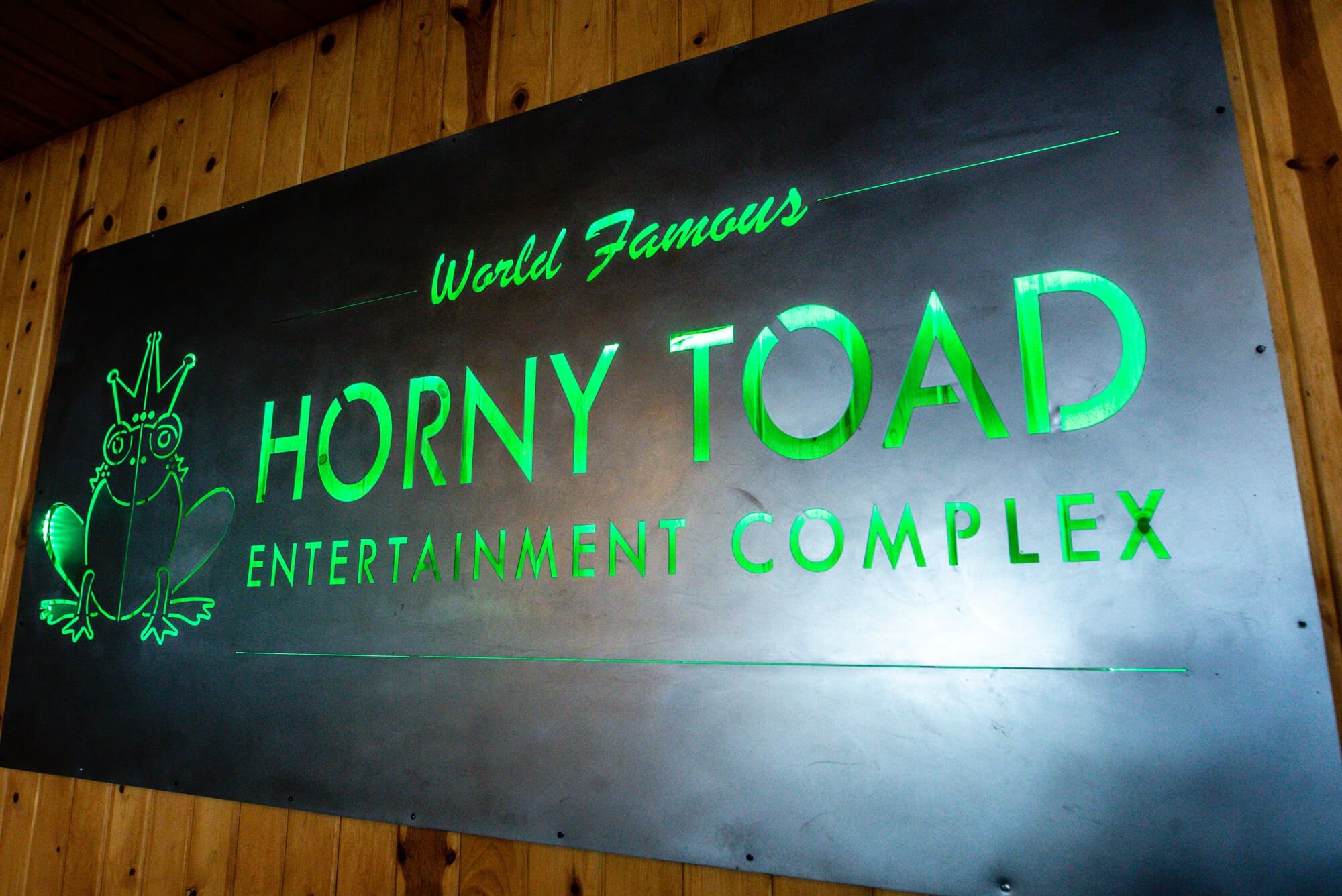 horny toads sign at camden on the lake